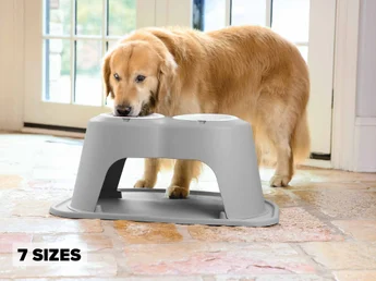 Double High Pet Feeding Systems