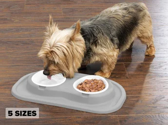 Double Low Pet Feeding Systems