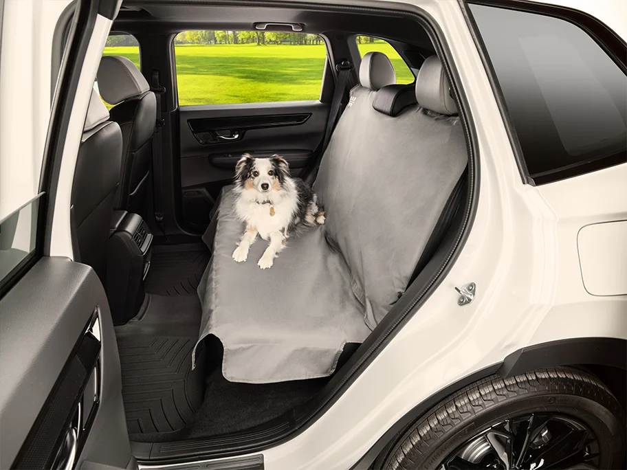Seat Protector