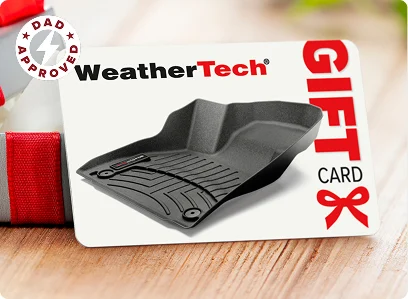 Amige gift card 