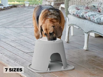 Single High Pet Feeding Systems